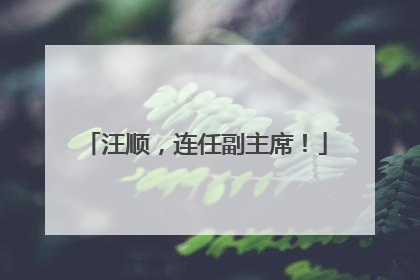 汪顺，连任副主席！