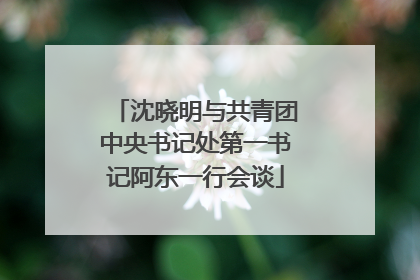 沈晓明与共青团中央书记处第一书记阿东一行会谈