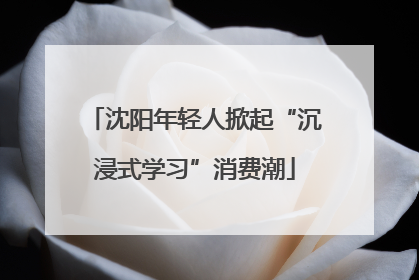 沈阳年轻人掀起“沉浸式学习”消费潮