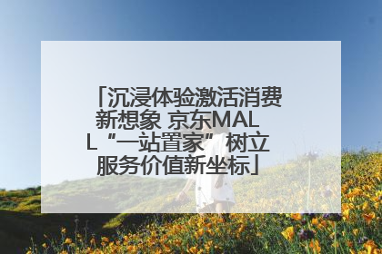 沉浸体验激活消费新想象 京东MALL“一站置家”树立服务价值新坐标