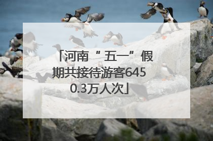 河南“ 五一”假期共接待游客6450.3万人次