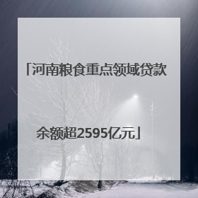 河南粮食重点领域贷款余额超2595亿元