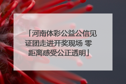 河南体彩公益公信见证团走进开奖现场 零距离感受公正透明