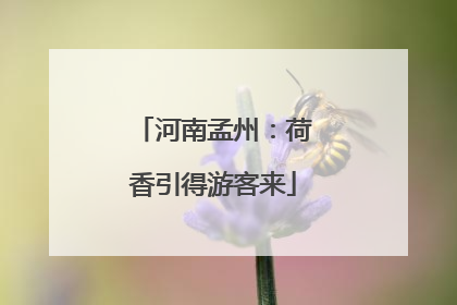 河南孟州：荷香引得游客来