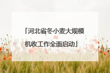 河北省冬小麦大规模机收工作全面启动