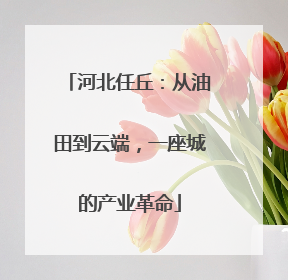 河北任丘：从油田到云端，一座城的产业革命
