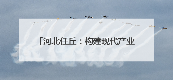 河北任丘：构建现代产业体系 助力高质量发展