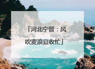 河北宁晋：风吹麦浪夏收忙