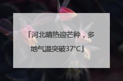 河北晴热迎芒种，多地气温突破37℃
