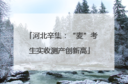 河北辛集：“麦”考生实收测产创新高