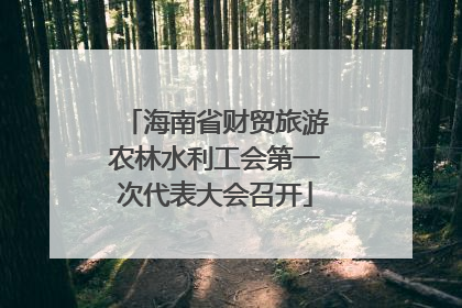 海南省财贸旅游农林水利工会第一次代表大会召开