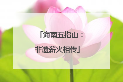 海南五指山：非遗薪火相传