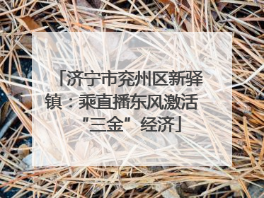 济宁市兖州区新驿镇：乘直播东风激活“三金”经济