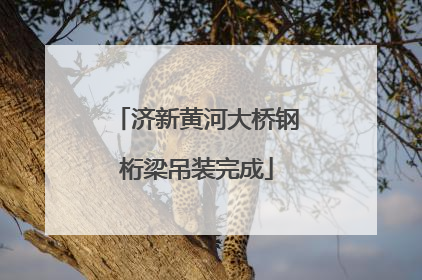 济新黄河大桥钢桁梁吊装完成