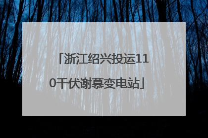 浙江绍兴投运110千伏谢慕变电站
