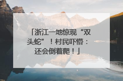 浙江一地惊现“双头蛇”！村民吓懵：还会倒着爬！