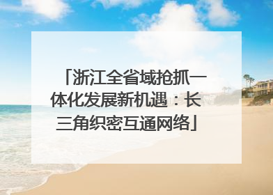 浙江全省域抢抓一体化发展新机遇：长三角织密互通网络