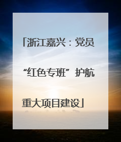 浙江嘉兴：党员“红色专班”护航重大项目建设