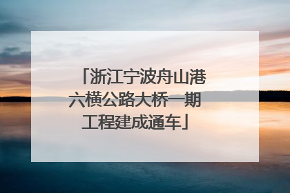 浙江宁波舟山港六横公路大桥一期工程建成通车