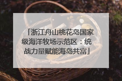 浙江舟山桃花岛国家级海洋牧场示范区：统战力量赋能海岛共富