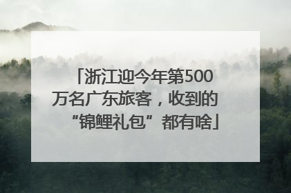 浙江迎今年第500万名广东旅客，收到的“锦鲤礼包”都有啥