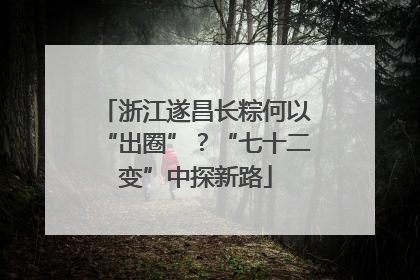 浙江遂昌长粽何以“出圈”？“七十二变”中探新路