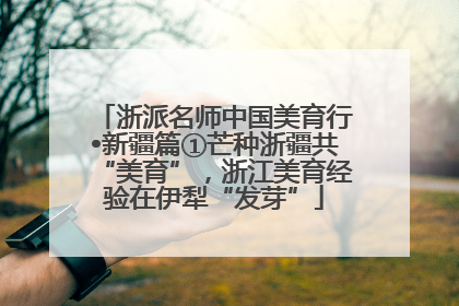 浙派名师中国美育行•新疆篇①芒种浙疆共“美育”，浙江美育经验在伊犁“发芽”
