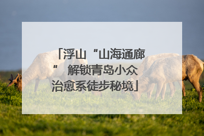 浮山“山海通廊” 解锁青岛小众治愈系徒步秘境