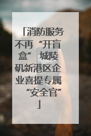 消防服务不再“开盲盒” 城陵矶新港区企业喜提专属“安全官”