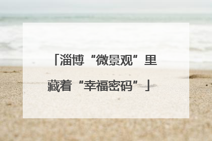 淄博“微景观”里藏着“幸福密码”