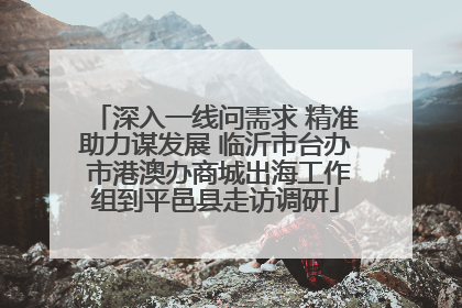 深入一线问需求 精准助力谋发展 临沂市台办 市港澳办商城出海工作组到平邑县走访调研