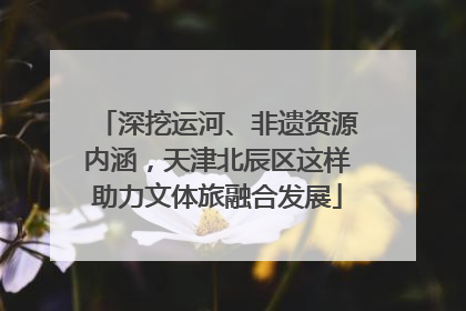 深挖运河、非遗资源内涵，天津北辰区这样助力文体旅融合发展