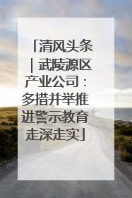 清风头条｜武陵源区产业公司：多措并举推进警示教育走深走实