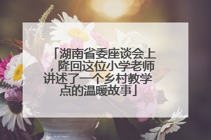 湖南省委座谈会上，隆回这位小学老师讲述了一个乡村教学点的温暖故事