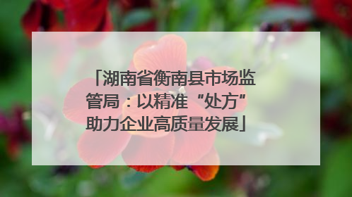 湖南省衡南县市场监管局：以精准“处方”助力企业高质量发展