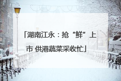 湖南江永：抢“鲜”上市 供港蔬菜采收忙