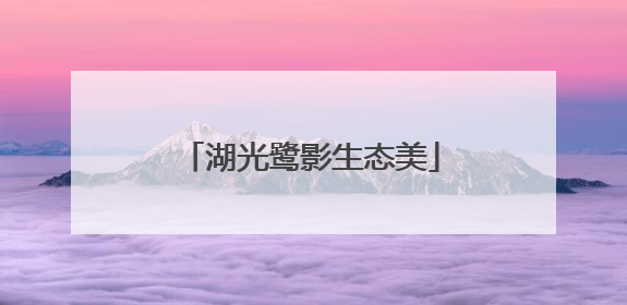 湖光鹭影生态美