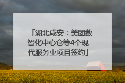 湖北咸安：美团数智化中心仓等4个现代服务业项目签约