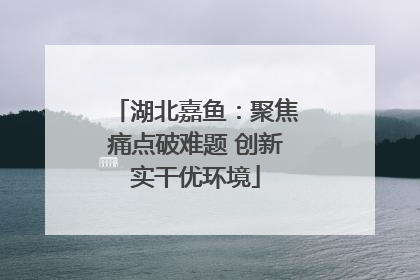湖北嘉鱼：聚焦痛点破难题 创新实干优环境