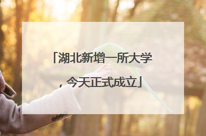 湖北新增一所大学，今天正式成立