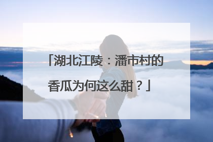 湖北江陵：潘市村的香瓜为何这么甜？