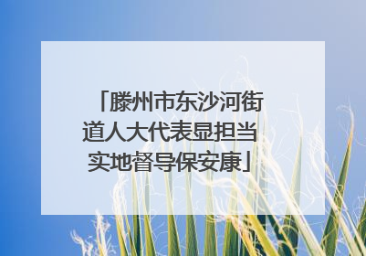 滕州市东沙河街道人大代表显担当实地督导保安康