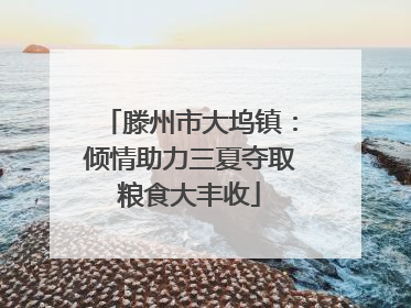 滕州市大坞镇：倾情助力三夏夺取粮食大丰收