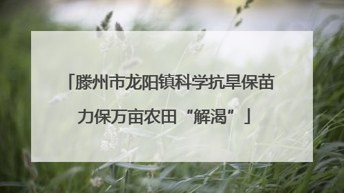 滕州市龙阳镇科学抗旱保苗 力保万亩农田“解渴”