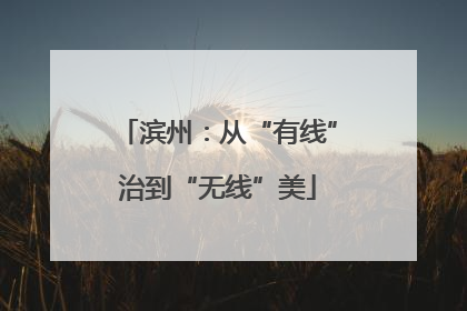 滨州：从“有线”治到“无线”美