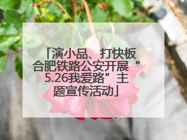 演小品、打快板 合肥铁路公安开展“5.26我爱路”主题宣传活动