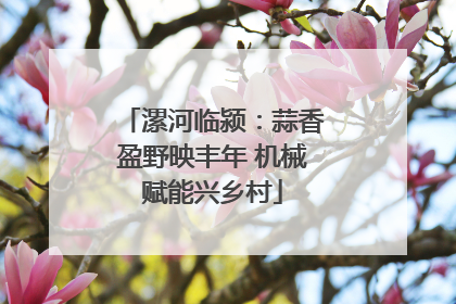 漯河临颍：蒜香盈野映丰年 机械赋能兴乡村