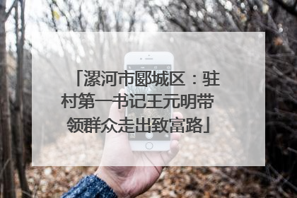 漯河市郾城区：驻村第一书记王元明带领群众走出致富路