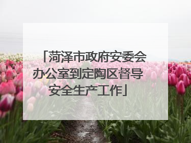 菏泽市政府安委会办公室到定陶区督导安全生产工作