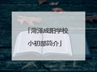 菏泽成阳学校小初部简介